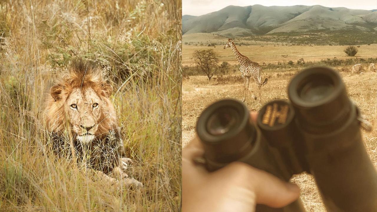 Nkomazi Game Reserve By Newmark Badplaas Exterior foto